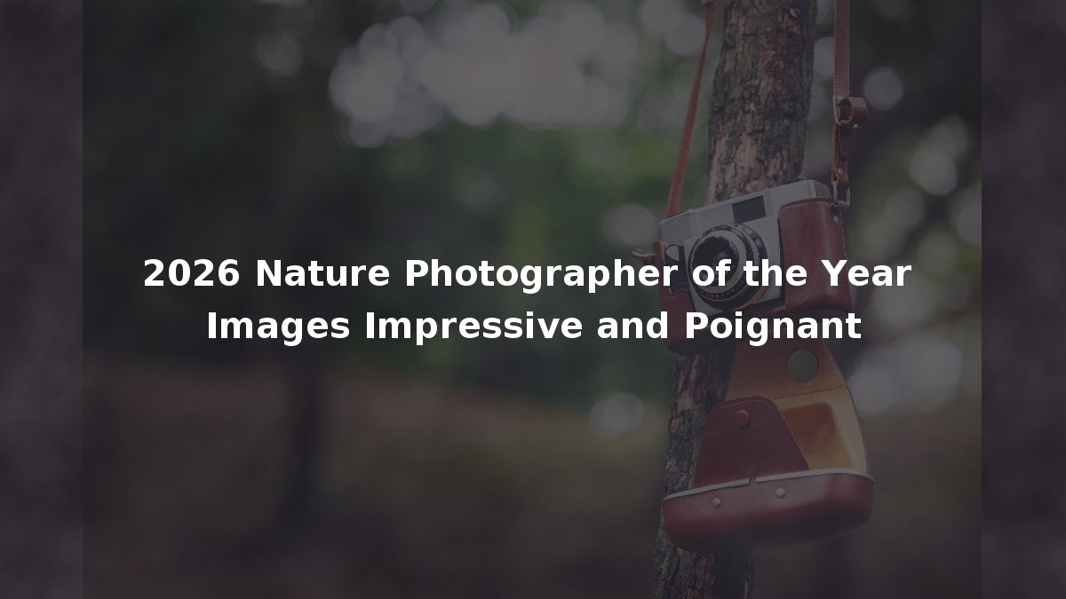 2026 Nature Photographer of the Year Images Impressive and Poignant