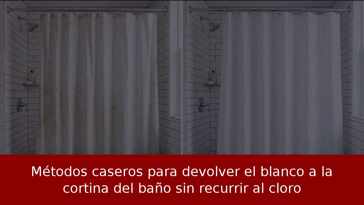 Métodos caseros para devolver el blanco a la cortina del baño sin recurrir al cloro