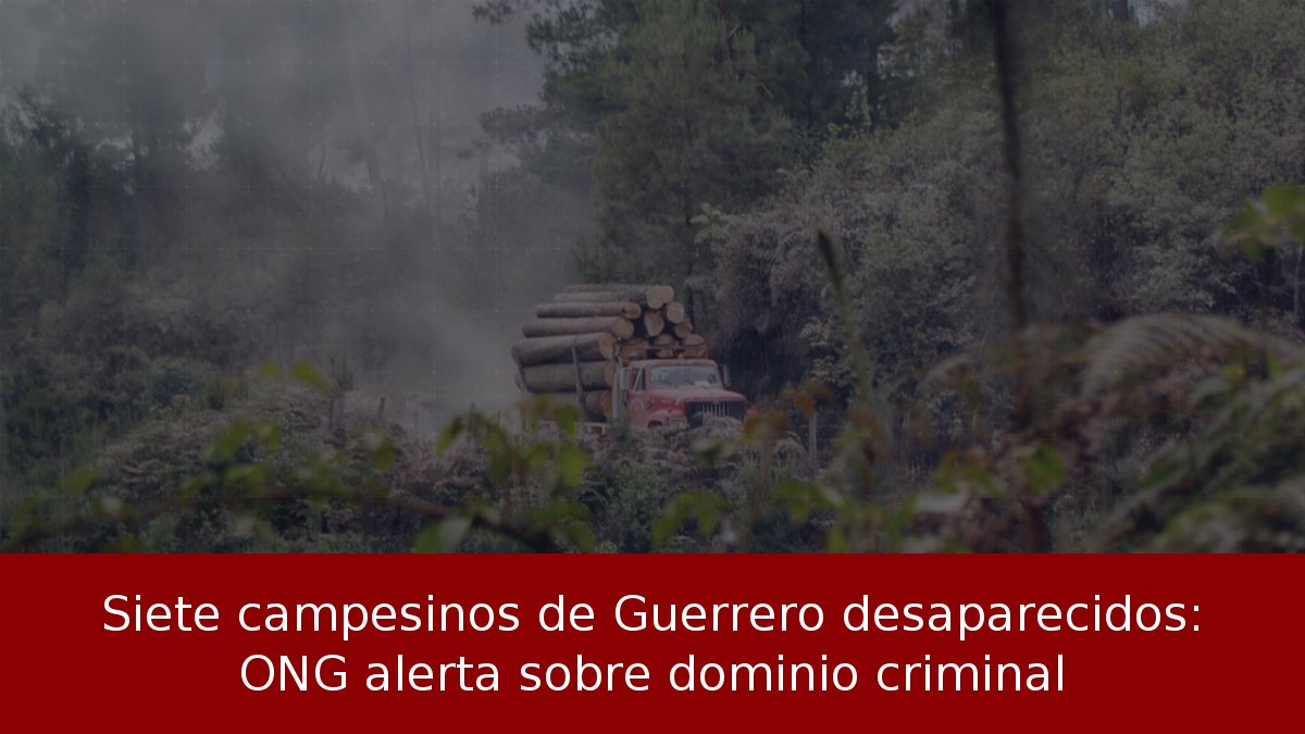 Siete campesinos de Guerrero desaparecidos: ONG alerta sobre dominio criminal