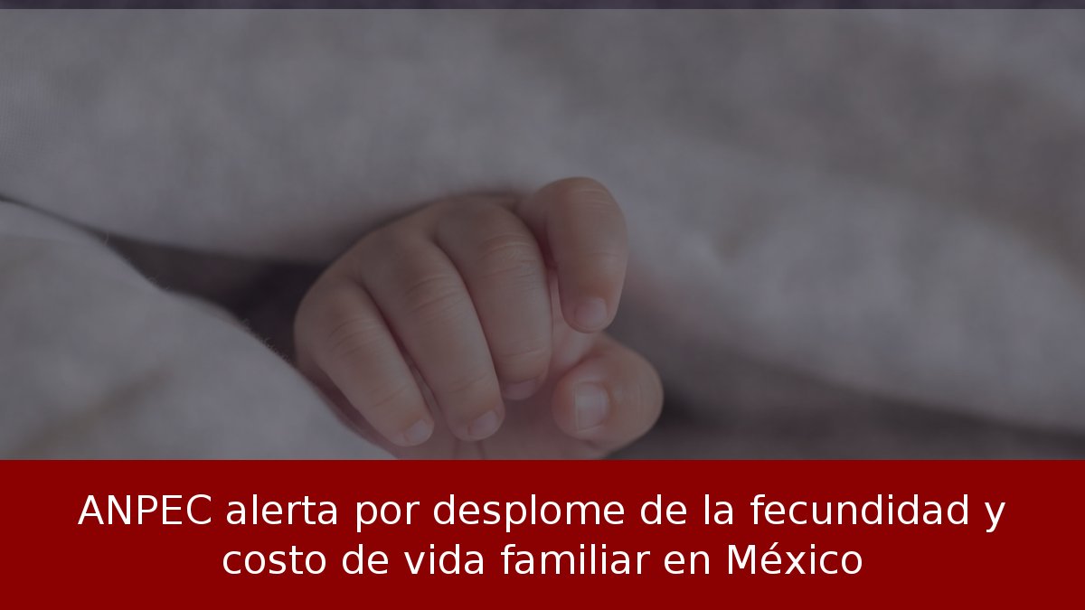 ANPEC alerta por desplome de la fecundidad y costo de vida familiar en México