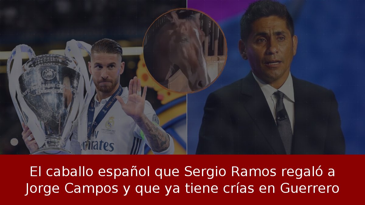 El caballo español que Sergio Ramos regaló a Jorge Campos y que ya tiene crías en Guerrero