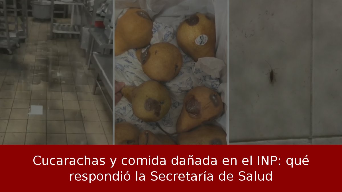 Cucarachas y comida dañada en el INP: qué respondió la Secretaría de Salud