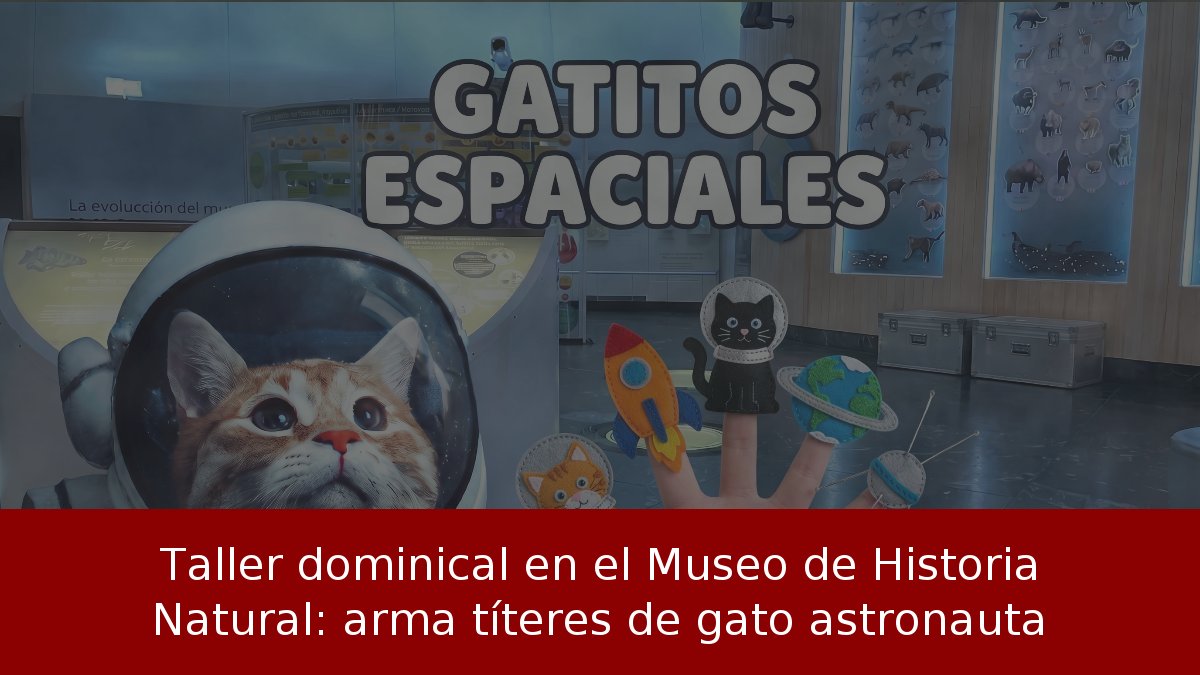 Taller dominical en el Museo de Historia Natural: arma títeres de gato astronauta