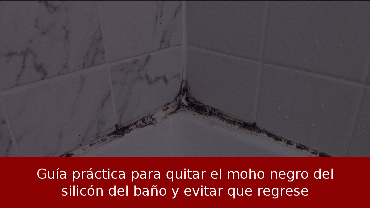 Guía práctica para quitar el moho negro del silicón del baño y evitar que regrese