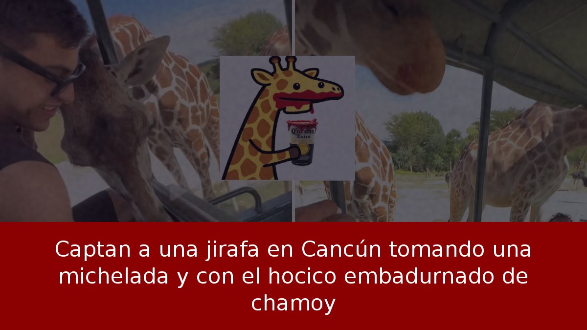 Captan a una jirafa en Cancún tomando una michelada y con el hocico embadurnado de chamoy
