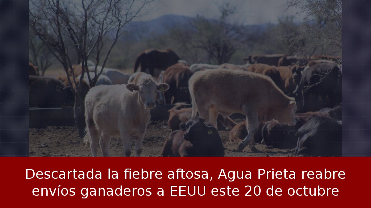 Descartada la fiebre aftosa, Agua Prieta reabre envíos ganaderos a EEUU este 20 de octubre