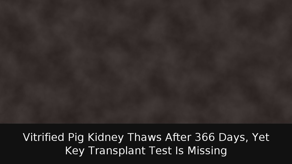 Vitrified Pig Kidney Thaws After 366 Days, Yet Key Transplant Test Is Missing